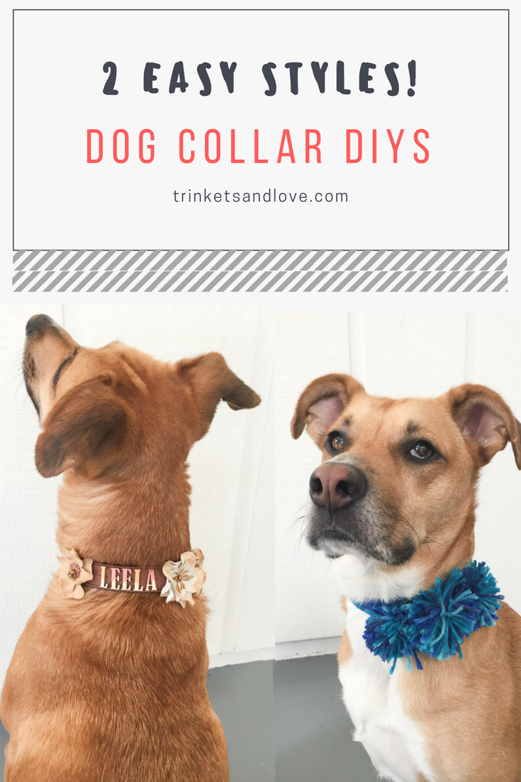diy-dog-collar-cover